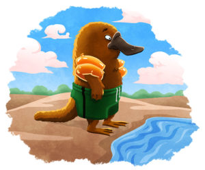 A young platypus wearing inflatable floats seems afraid of the water.